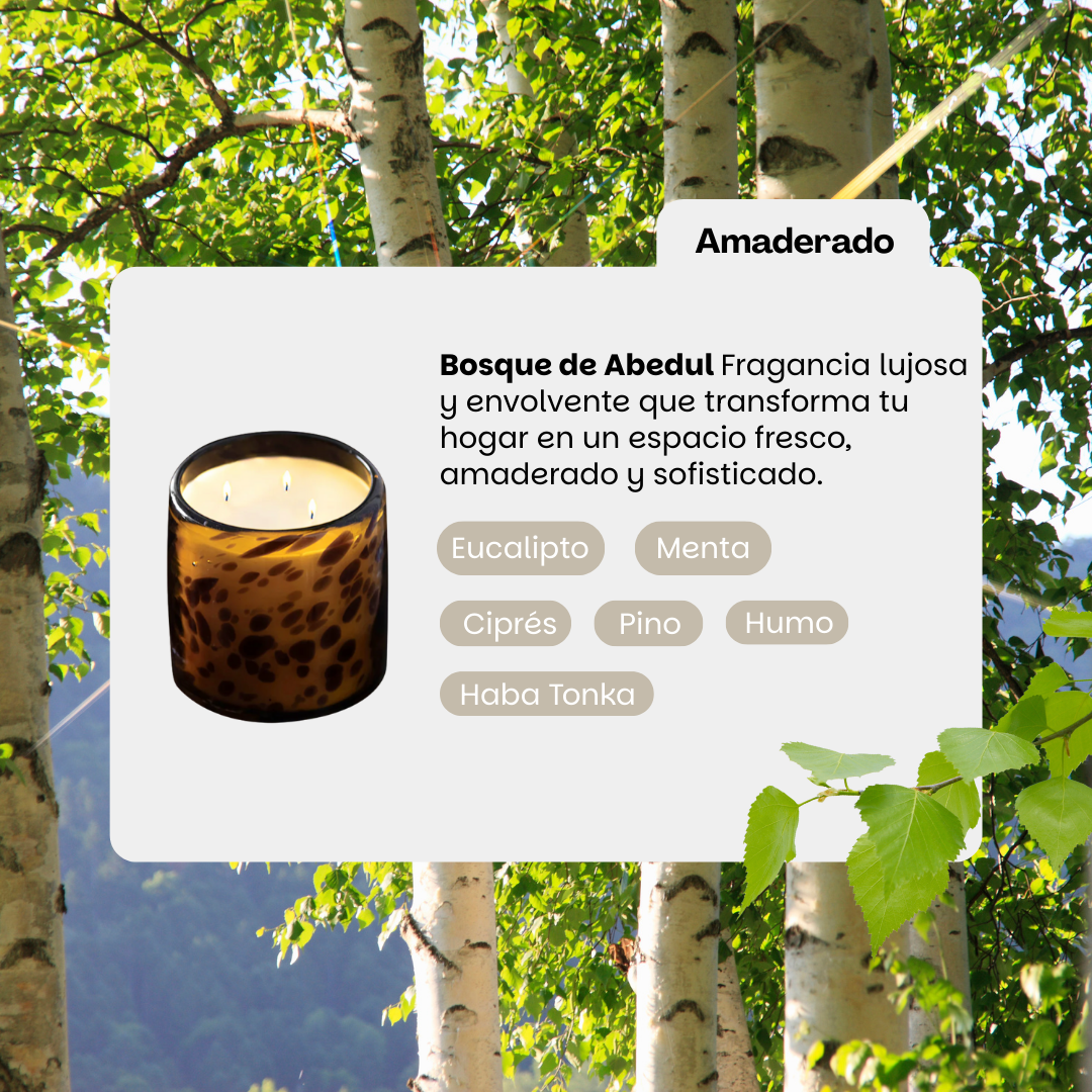 Bosque de Abedul