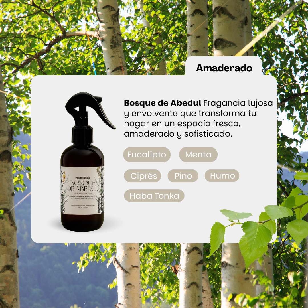 Bosque de Abedul