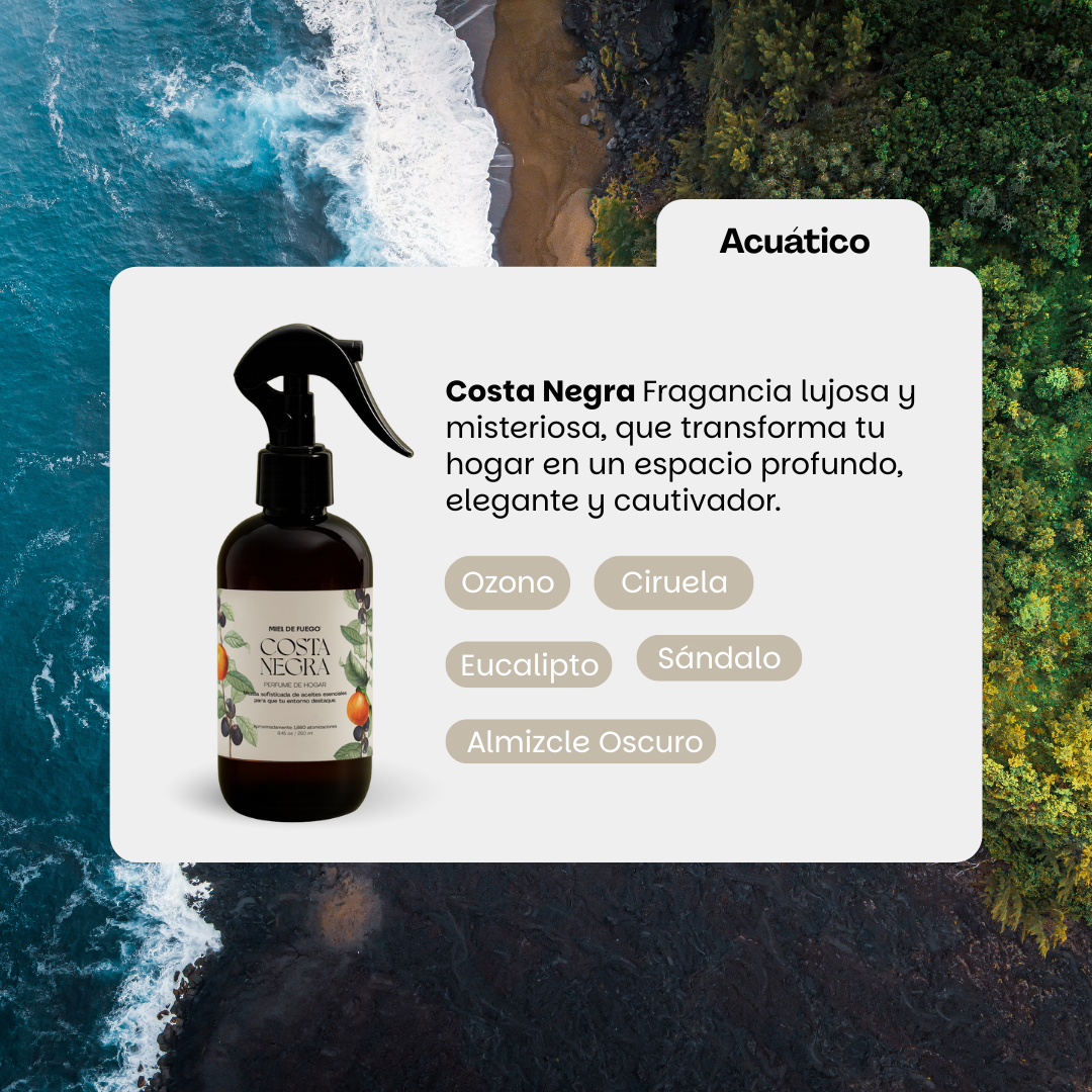 Costa Negra