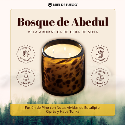 Bosque de Abedul