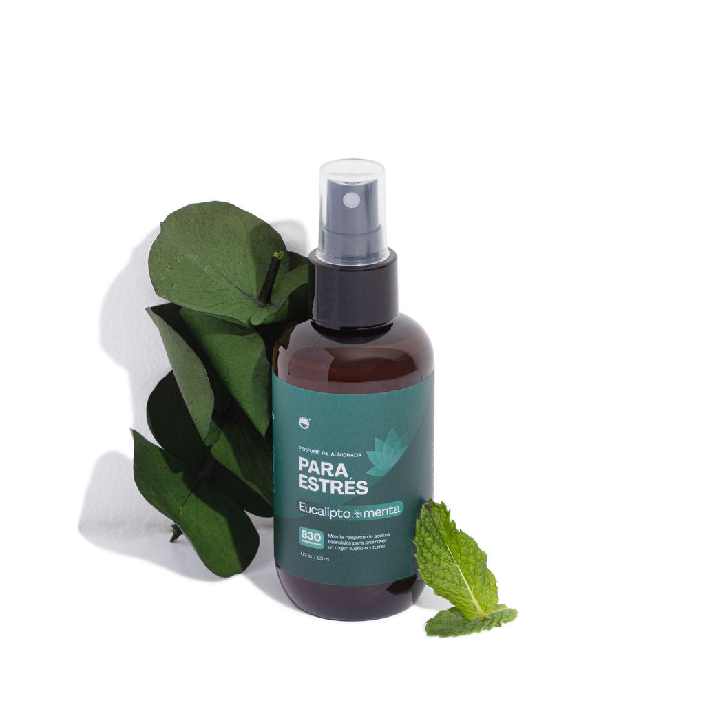 Eucalipto & Menta