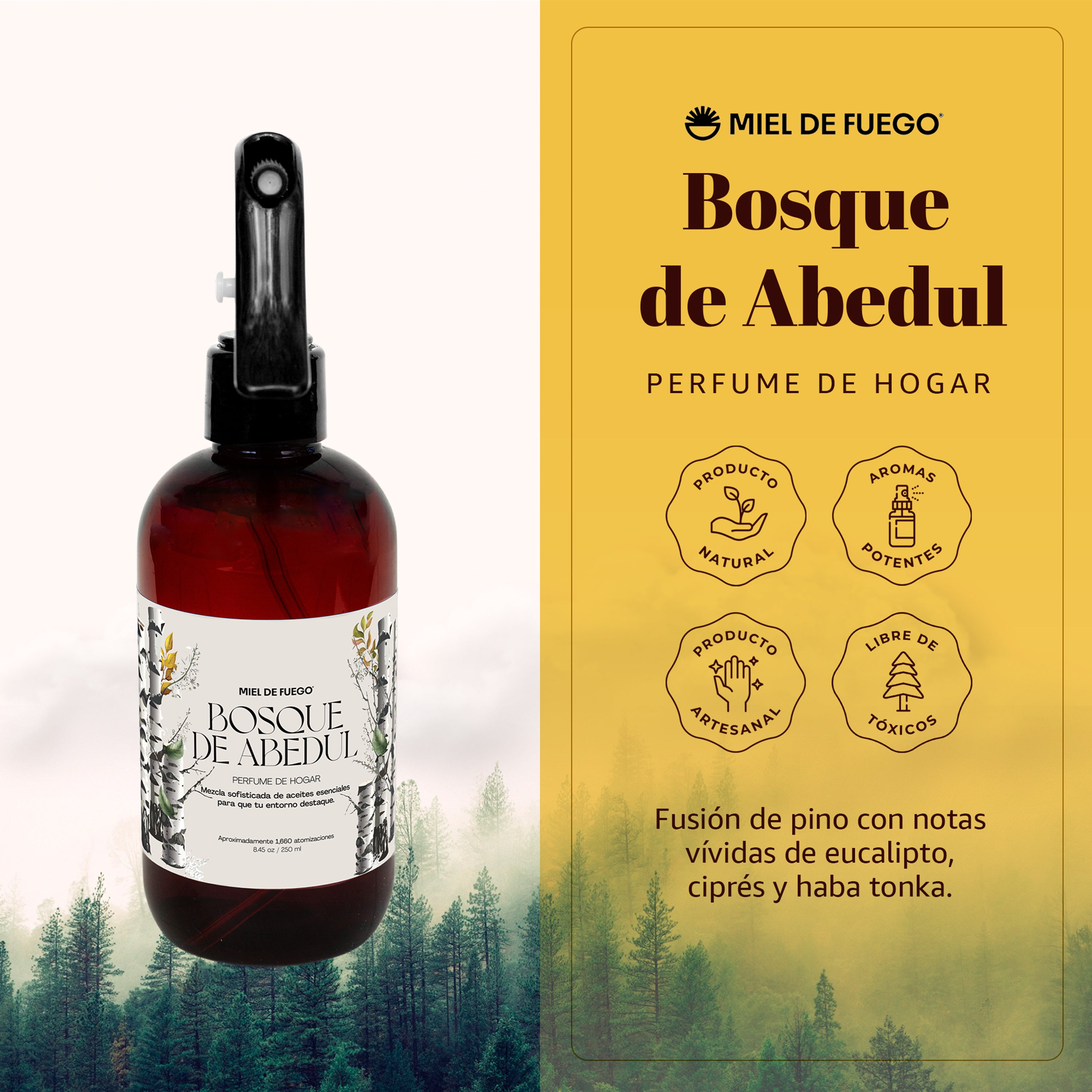 Bosque de Abedul