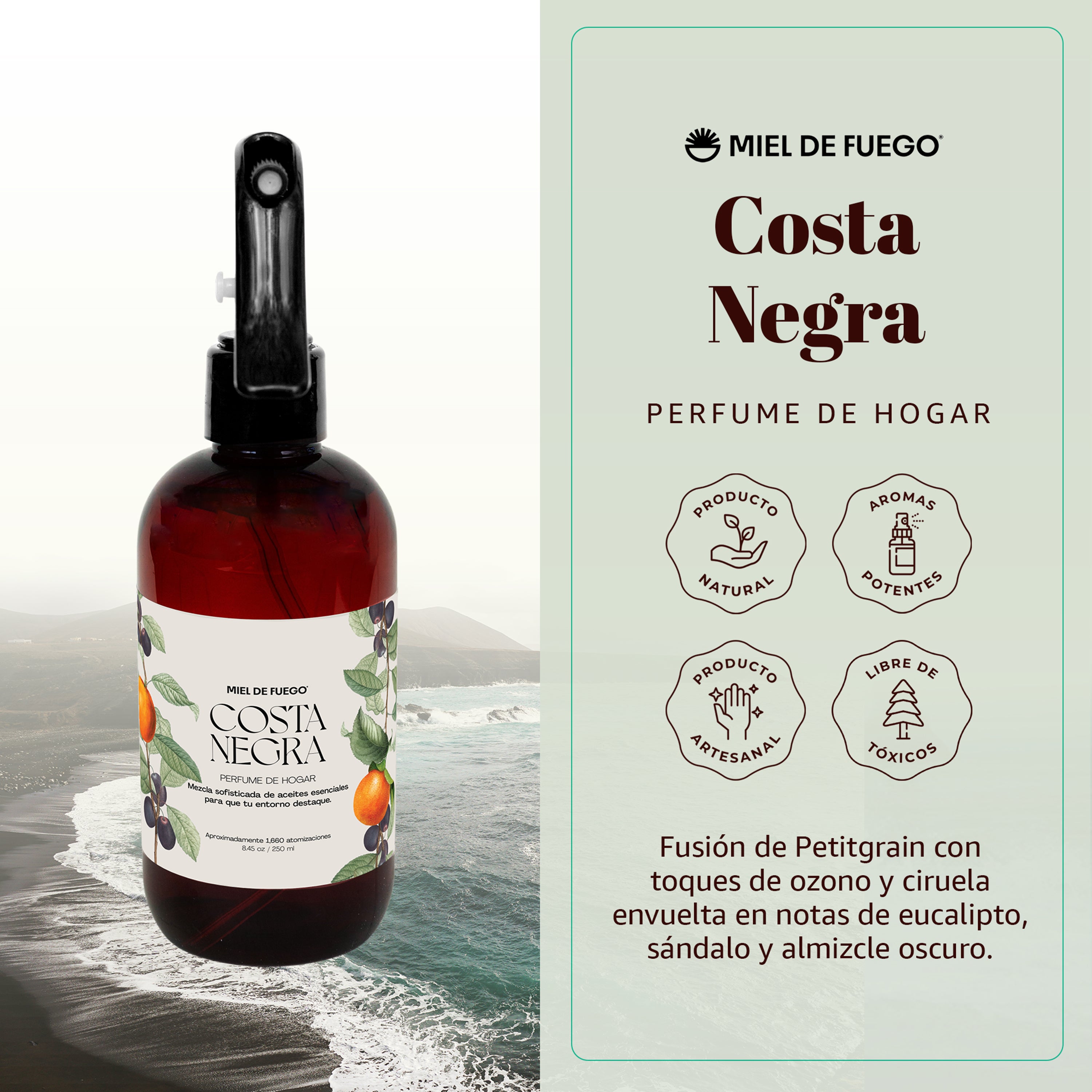 Costa Negra