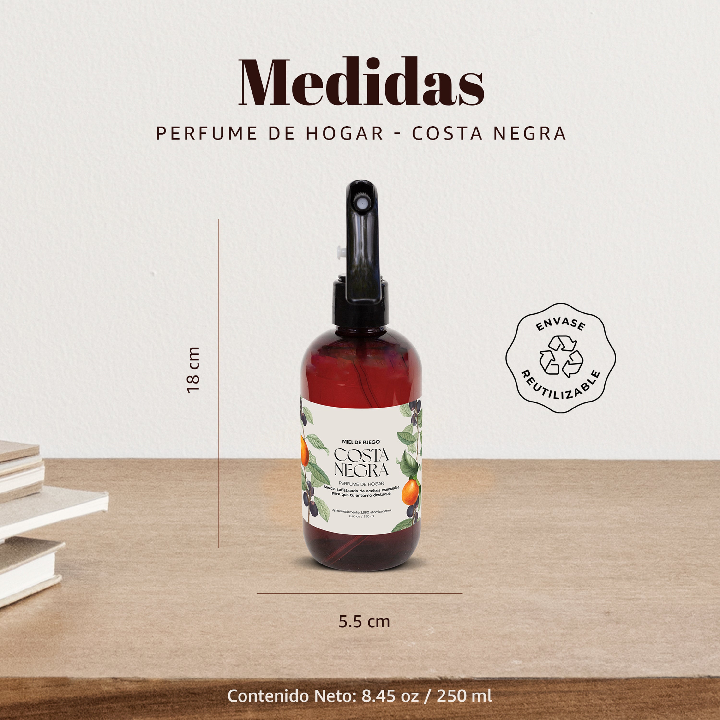 Costa Negra