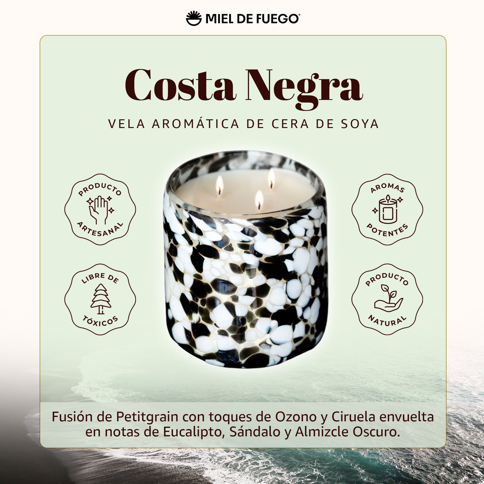 Costa Negra